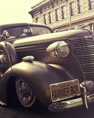 Premium Festive Hamper