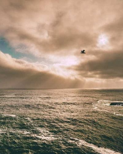 Personalised Family Photo Frame